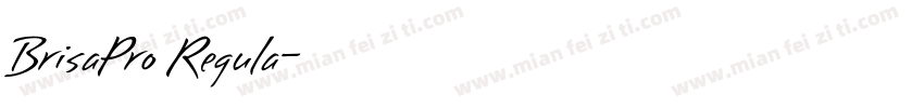 BrisaPro Regula字体转换